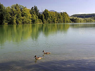 Isarstausee